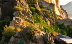La Corse, destination Confiance
