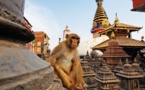 Katmandou, à la découverte de la capitale du Népal