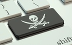 Cybersécurité, fraude : "des mesures simples pourraient éviter bien des escroqueries !" [ABO]