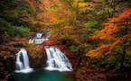 Préparez votre automne dans l'Ouest du Japon !