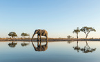 Safari-croisière en Afrique australe : CroisiEurope vous emmène aux confins du monde
