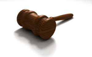 La force majeure et les oiseaux ne font pas bon ménage dans les airs… La force majeure et les oiseaux ne font pas bon ménage dans les airs…