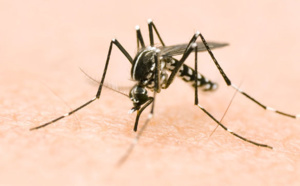 Quai d'Orsay : le Venezuela et Singapour touchés par le virus Zika