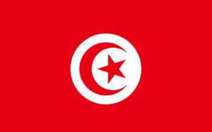 Tunisie : les bateaux de croisières reprendront leurs escales en octobre 2016