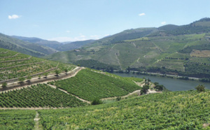 Porto et la vallée du Douro, fascinant duo Unesco