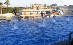 Marineland lève le voile sur ses projets