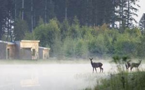 Center Parcs : le Domaine du Bois aux Daims élu meilleure destination écotourisme 2017