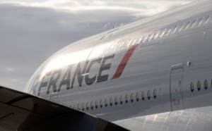 La Case de l'Oncle Dom : Air France au Sénat… à un train de sénateur !