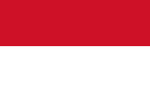 Indonésie : manifestation à Jakarta le 2 décembre 2016
