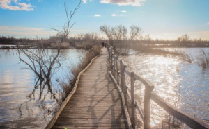 La Camargue parmi les 23 contrats de Structuration des pôles touristiques territoriaux