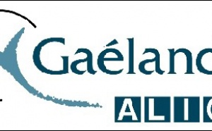 Gaeland Alica : Madagascar en nouveauté de la production Alizés