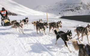 La Grande Odyssée Savoie Mont-Blanc : une aventure en chiens de traineau de 11 jours !