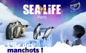 Les manchots arrivent à SEALIFE Paris !