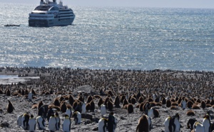 II. Ponant : cap sur la Géorgie du Sud, au royaume des manchots...