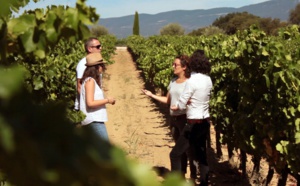 Provence Wine Tours plonge ses visiteurs dans les secrets de vinification en Provence