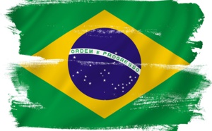 Brésil : épidémie de fièvre jaune dans plusieurs Etats