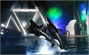 Marineland se met à l'heure de Noël Marineland se met à l'heure de Noël
