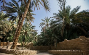 Abu Dhabi : le patrimoine de l'Oasis d'Al Aïn mis en valeur en 2017