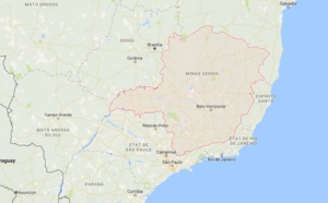 Brésil : épidémie de fièvre jaune dans les Etats du Minas Gerais et de l’Espirito Santo