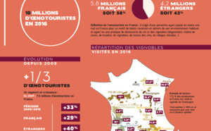 Oenotourisme : un marché en hausse de plus de 30 % entre 2009 et 2016 en France