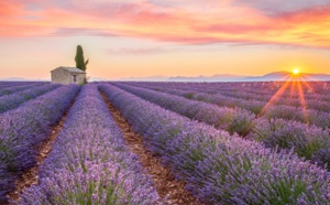 France : comment séduire le marché nord-américain ?