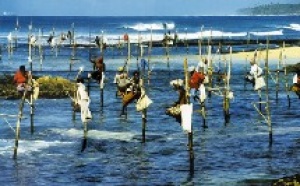 Le tsunamis a coûté 4,4 %du PIB du Sri Lanka