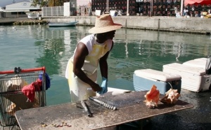 Guadeloupe, Madagascar... le tourisme pris en tenaille par la crise
