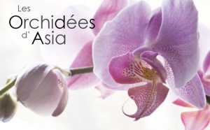 Asia lance l'opération ''Orchidées''