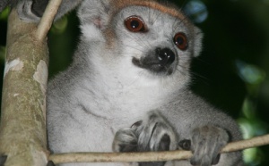 Madagascar " réouverte" au tourisme sur l'ensemble du territoire