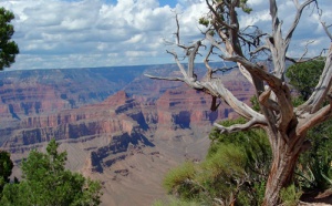 Etats Unis : la destination était déjà ''grippée'' avant le H1N1... Etats Unis : la destination était déjà ''grippée'' avant le H1N1...