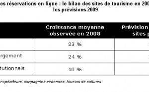 E-Tourisme : croissance divisée par deux en 2009 par rapport à 2008 