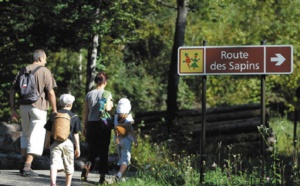 Dans le Jura, la forêt de la Joux, un « poumon vert » à l’écorce tannée