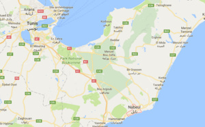 Tunisie : 2 touristes allemandes agressées à l'arme blanche