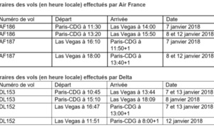 CES Las Vegas 2018 : Air France et Delta mettent en place 12 vols spéciaux