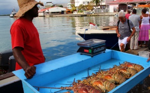 I - Antilles  : la relance, les pros y croient, question de survie !