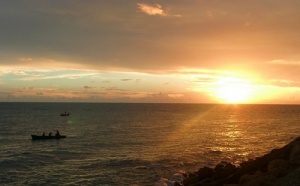 II - Martinique : dans l'île « debout » seuls plient les cocotiers...