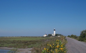 Camargue, roues libres et grands espaces