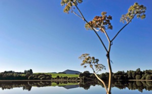 Puy-de-Dôme : nouvelle convention touristique avec Auvergne-Rhône-Alpes Puy-de-Dôme : nouvelle convention touristique avec Auvergne-Rhône-Alpes