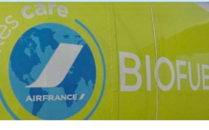Air France, partenaire des “Palmes du Tourisme durable”
