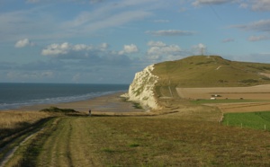 Manche : de la baie de Somme au cap Blanc Nez, un spectacle de pleine nature