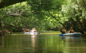 Descente de la Leyre en canoë, sous la voûte forestière landaise Descente de la Leyre en canoë, sous la voûte forestière landaise
