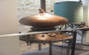 Grasse : premier bilan positif pour le nouveau musée international de la Parfumerie Grasse : premier bilan positif pour le nouveau musée international de la Parfumerie