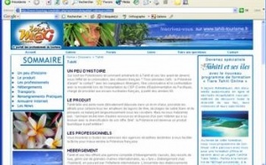 Polynésie : la ''boîte à outils'' pour ne plus ''bricoler'' sur la destination...
