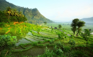 L’Indonésie cousue main par Bali Seken