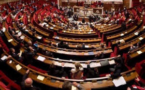 La case de l’Oncle Dom : La députée qui voulait devenir agent de voyages La case de l’Oncle Dom : La députée qui voulait devenir agent de voyages