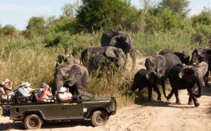 Les voyages Montessuit propose un safari en Afrique du Sud