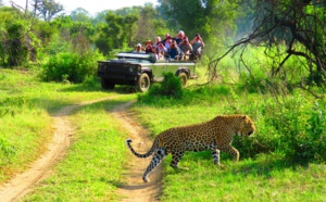 Haute-Savoie : Montessuit Voyages commercialise un lodge haut de gamme en Afrique du Sud