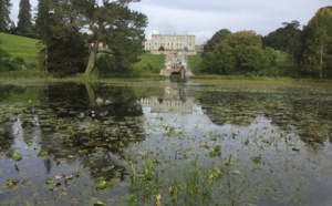 Une balade irlandaise en cinq étapes, de Wexford à Dublin