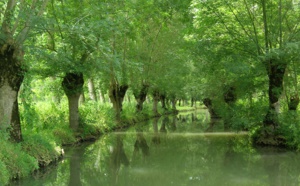 Le Parc Naturel Régional du Marais poitevin candidat aux Palmes du Tourisme Durable