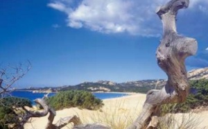 Corse du sud : le Domaine de Murtoli, distingué par les Tatler Travel Awards